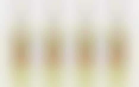 Media Personality Gin Liqueurs