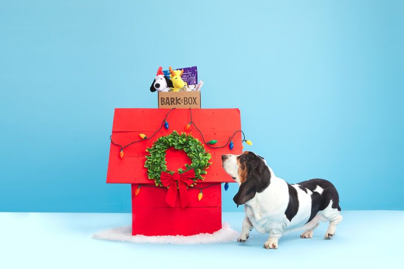 Cartoon-Themed Dog Subscriptions