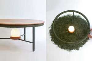 Upcycled Organic Matter Furniture Article Thubnail