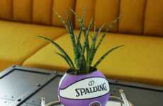 Specially Curated Basketball Planters