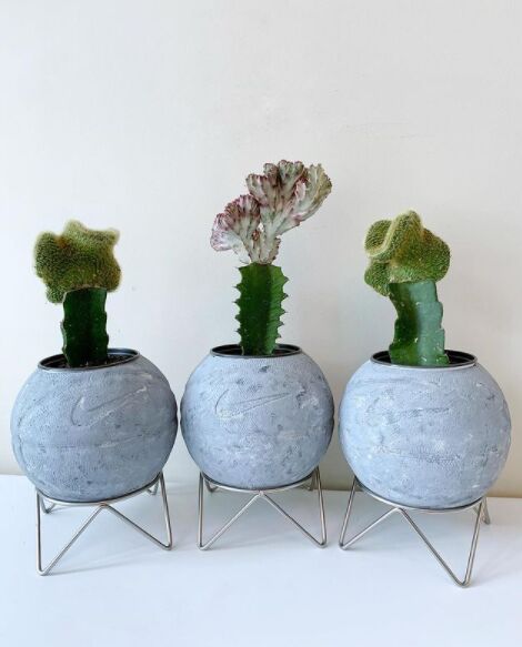 Specially Curated Basketball Planters Image 2