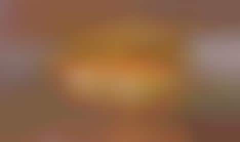 Meatless Vegan Sandwiches