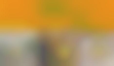 Incognito Mimosa Fridges