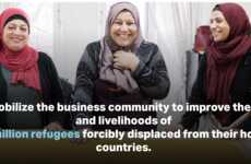 LGBTQ-Friendly Business Mentorship Programs