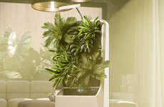 Plant-Powered Air Purifiers