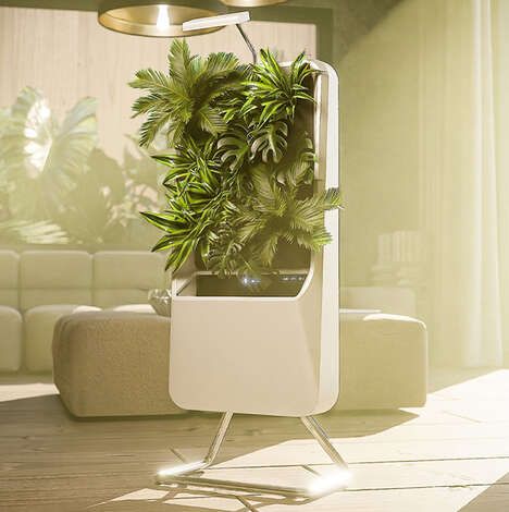 Plant-Powered Air Purifiers