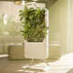 Plant-Powered Air Purifiers Image 1