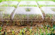 Rainwater-Harvesting Seedling Covers