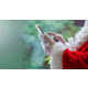 Virtual Santa Messaging Image 1