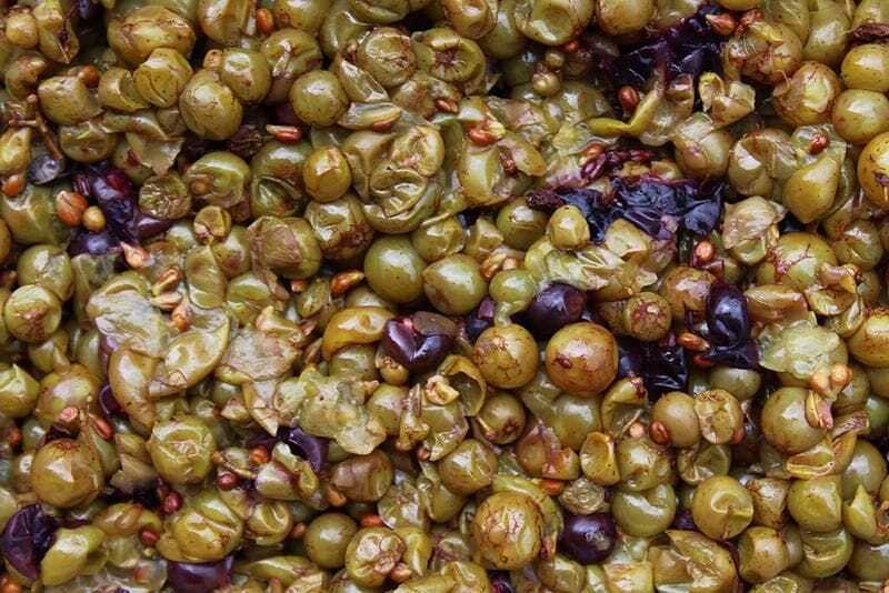 Wine Waste Nutraceutical Ingredients