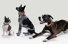 Health-Tracking Dog Collars