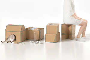 Reusable Cardboard Packaging Designs Article Thubnail