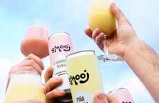 Hard Seltzer Smoothies