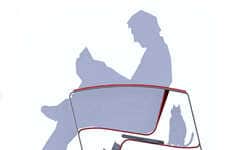 Dual-Function Inverted Rocking Chairs