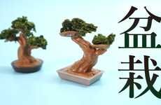 Edible Bonsai Tree Kits