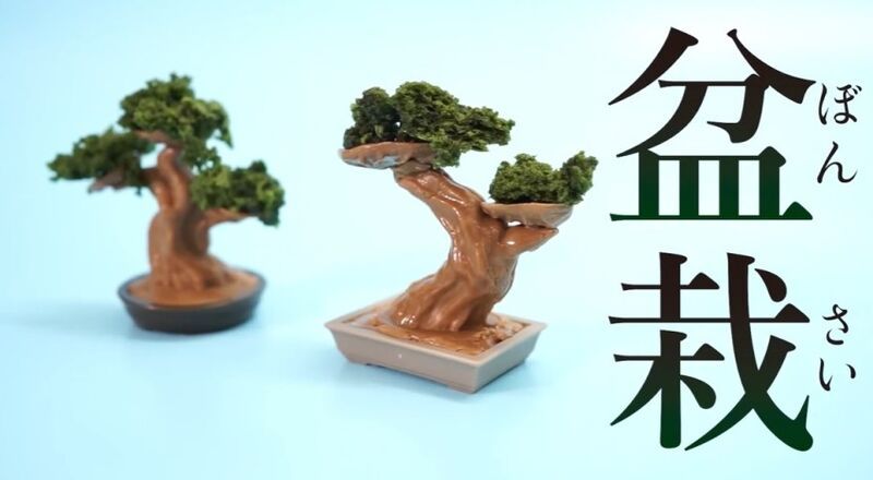 Edible Bonsai Tree Kits