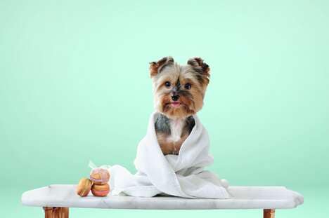Dog-Friendly Macaron Treats