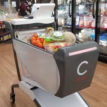 Self-Checkout Shopping Carts