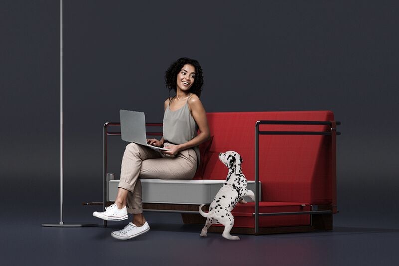 Two-Tiered Pet-Friendly Furniture