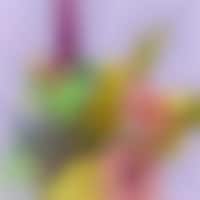 Cannabis-Paired Bouquets Image 1