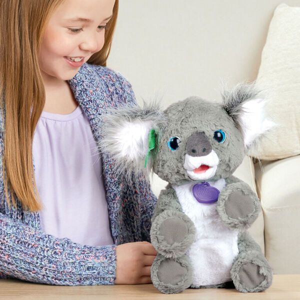 Koala Bear Gifts - 60+ Gift Ideas for 2024