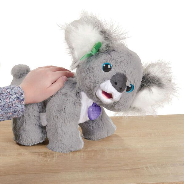 Koala Bear Gifts - 60+ Gift Ideas for 2024