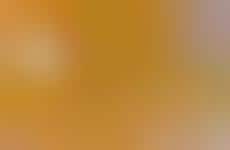 Pressed Argan Oil Balms