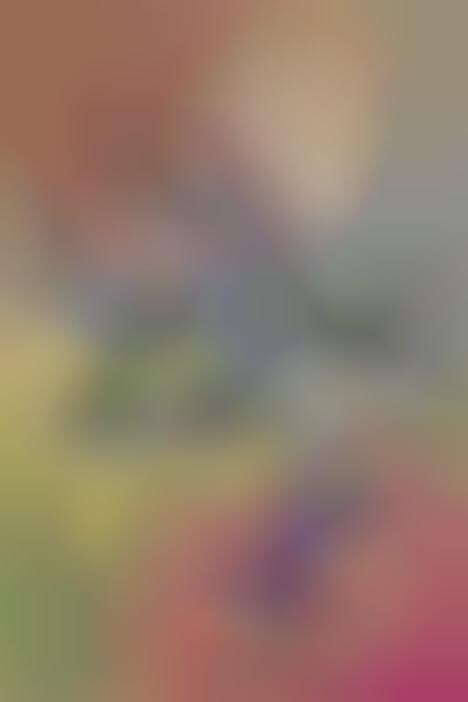 Upcycled Luxe Vibrant Sneakers