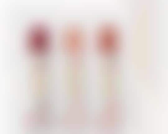Empowering Clean Lipsticks