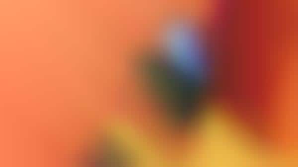 AI-Powered Quad Camera Smartphones