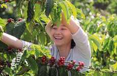 Sustainable Coffee Commitment Initiatives