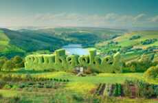 Food Delivery Branding Pivots