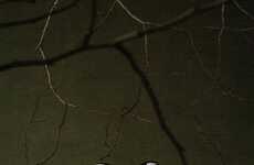 Carbon-Plated Trail Shoes