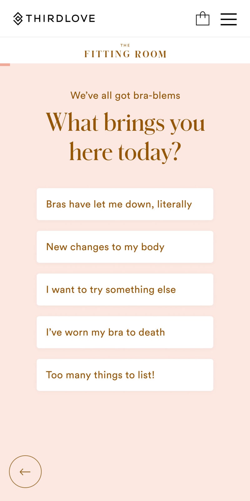 Virtual Intimates Fitting Rooms
