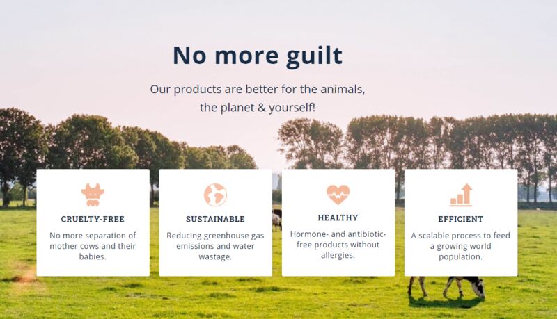 Fermented Nutrient-Rich Dairy