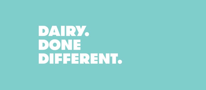 Bio-Engineered Animal-Free Dairy