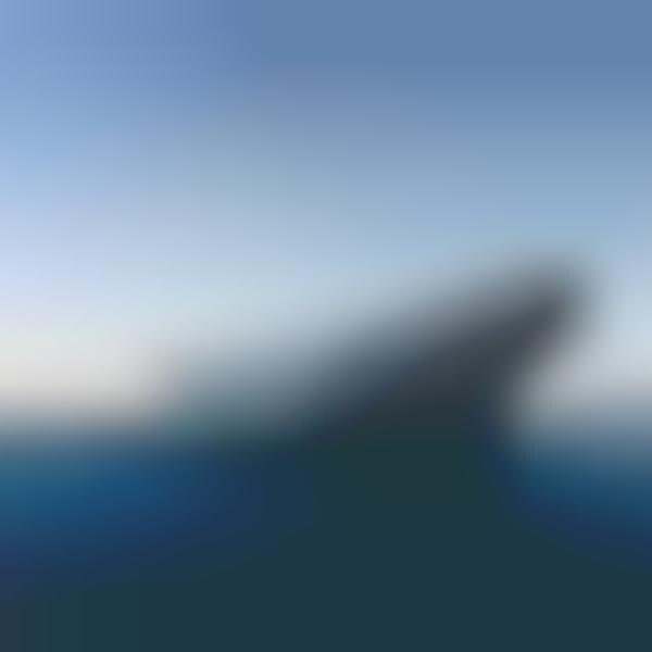 Cetacean-Shaped Buildings