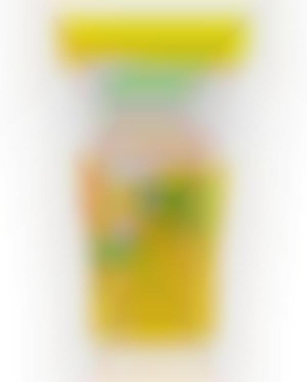 Reef-Safe Green Tea Sunscreens
