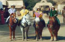 Payment-Divvying Cowboy Ads