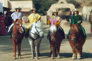 Payment-Divvying Cowboy Ads