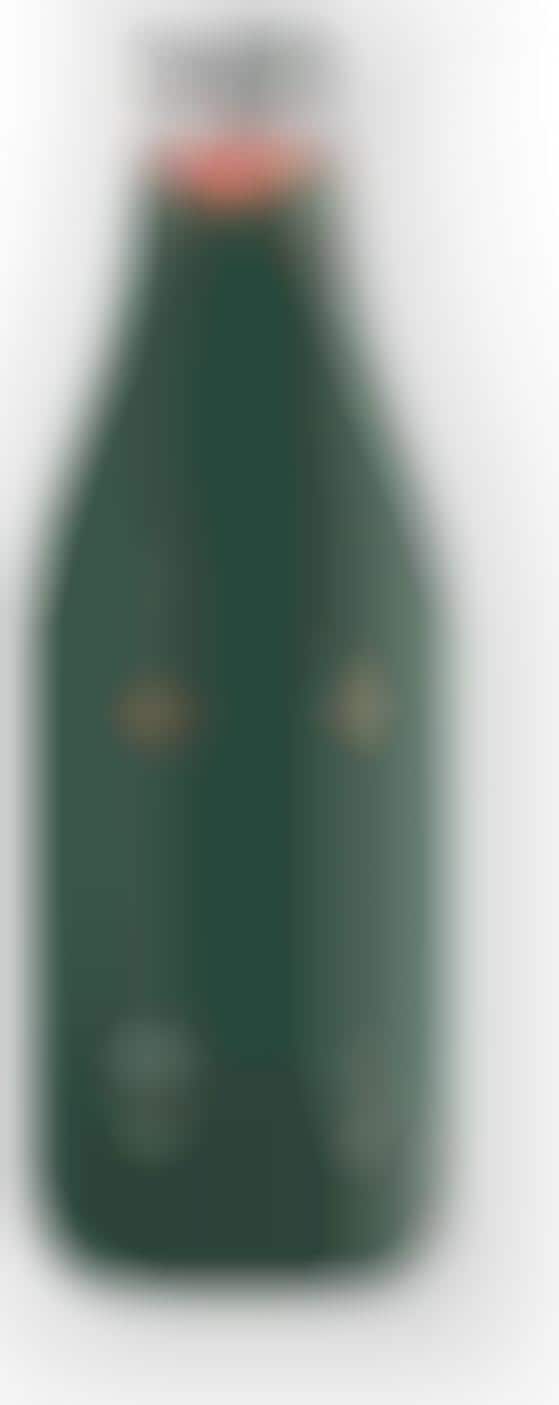 Functional Cannabis Beverages