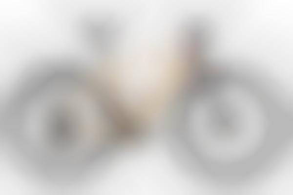 Sustainable Wooden Electric Bikes