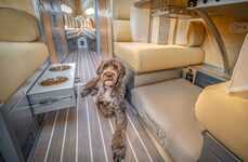Pet-Friendly Travel Trailers