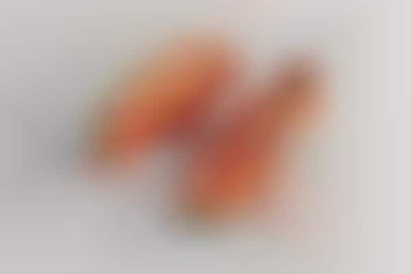 coral suede wallabee