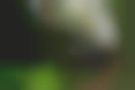 Rugged Terrain-Tackling Robots