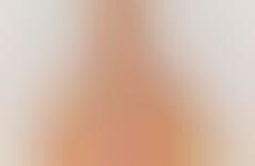 Contemporary Affordable Collections