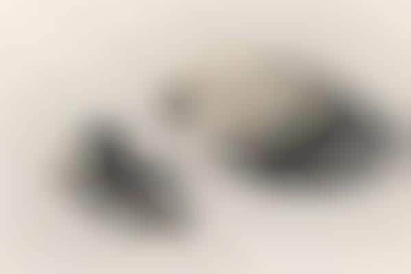 Naturalistic Pebble-Like Earbuds