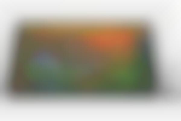 Professional-Grade Drawing Tablets