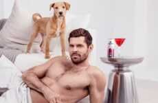 Sultry Dog Rescue Campaigns