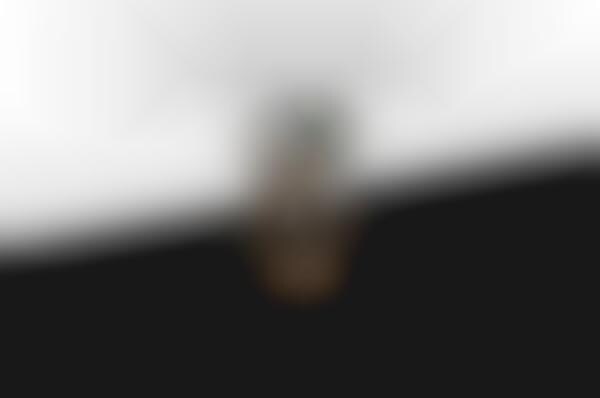 Virtual Bottle Designs